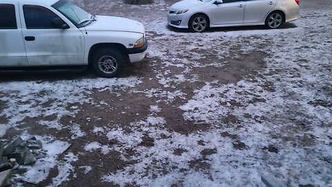 Snow in Florida