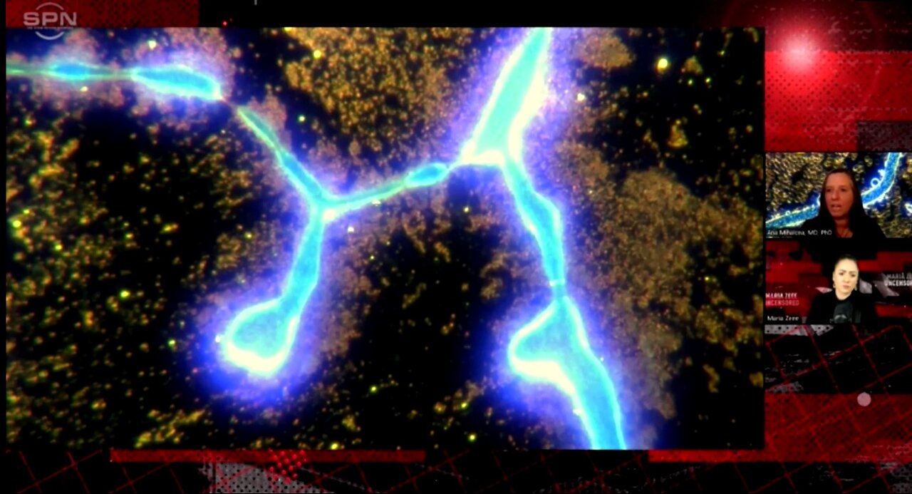 IT'S A CLOWN WORLD NEWS 03-12-2025