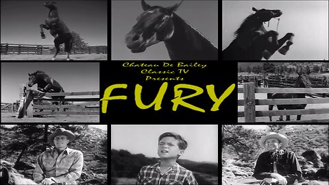 Fury