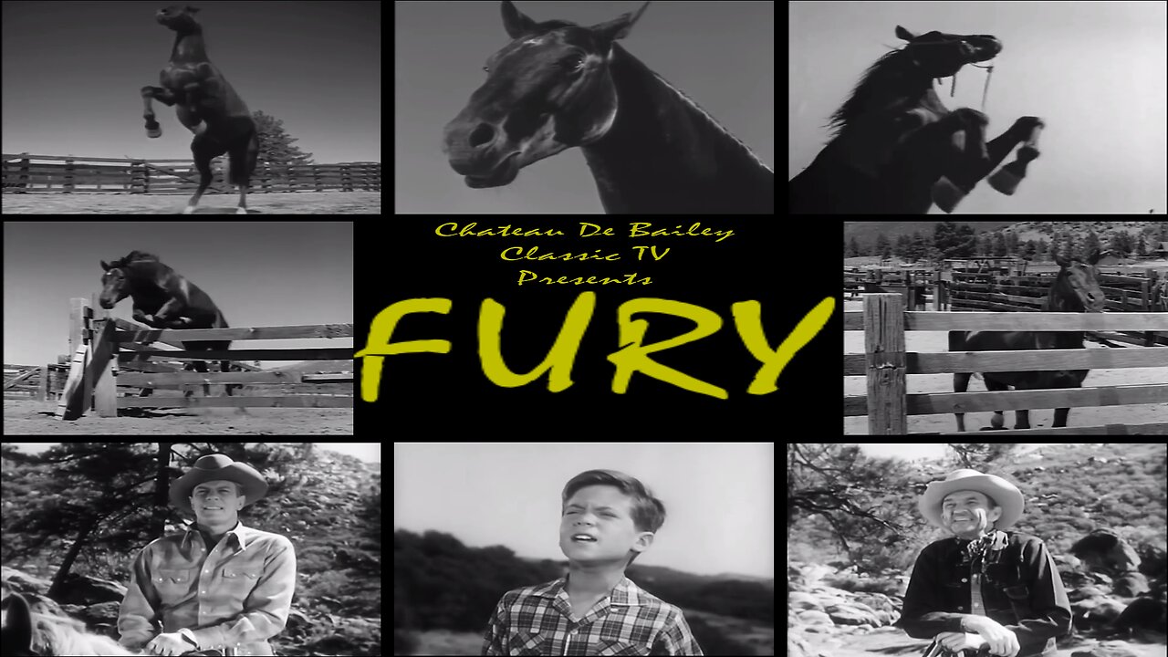 Fury