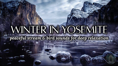 Winter In Yosemite | Relaxing Stream & Bird Sounds for Deep Sleep, Relaxation, Meditation & Focus