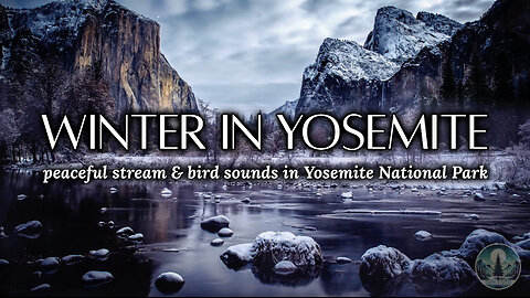 [LIVE] Peaceful Stream & Bird Sounds in Yosemite for Sleep & Relaxation ❄️🏔️🌲 | Sounds of Nature