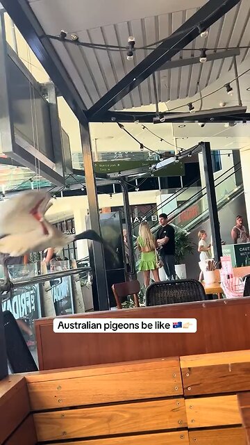 Welcome to Australia 🇦🇺