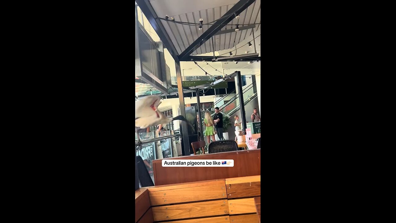 Welcome to Australia 🇦🇺