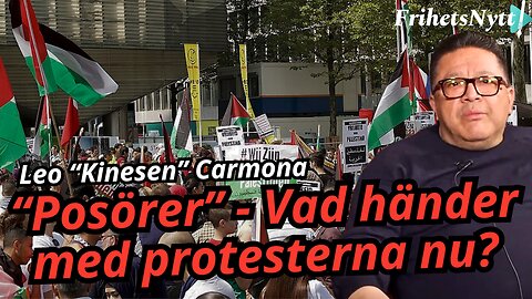 Palestinaprotesterna tog över gatorna - försvinner de nu? - Leo "Kinesen"