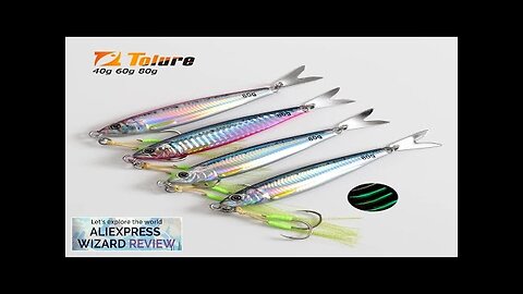 TOLU 2024 NEW 3D Printed Fast Sinking Metal Jig Lure 20g 30g Review