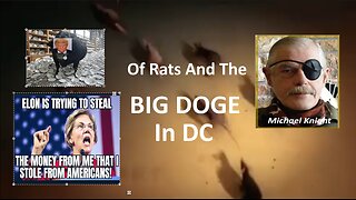 DemocRATs In DC Panicked by DOGE Trump and Musk