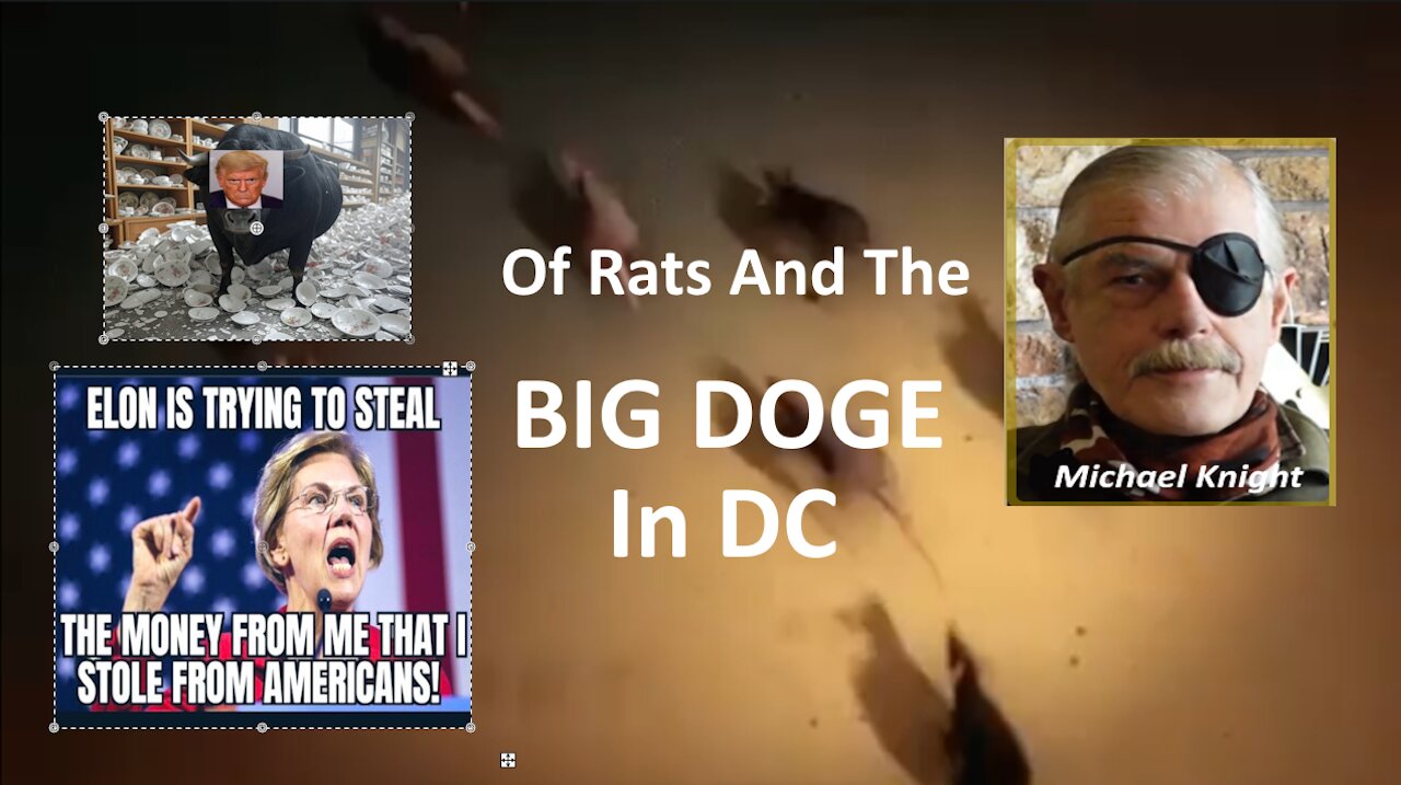 DemocRATs In DC Panicked by DOGE Trump and Musk