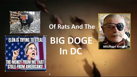 DemocRATs In DC Panicked by DOGE Trump and Musk