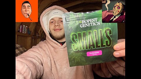 Reviewing The Dopest Genetics Smalls Gushers THCA Flower!!! The Dopest pack!!!!