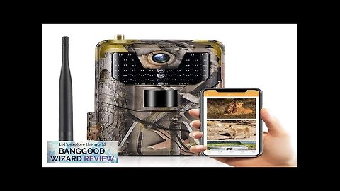 HC-900Pro 4G LTE Cellular Trail Hunting Camera 36MP Pixels Photos 4K FHD Review