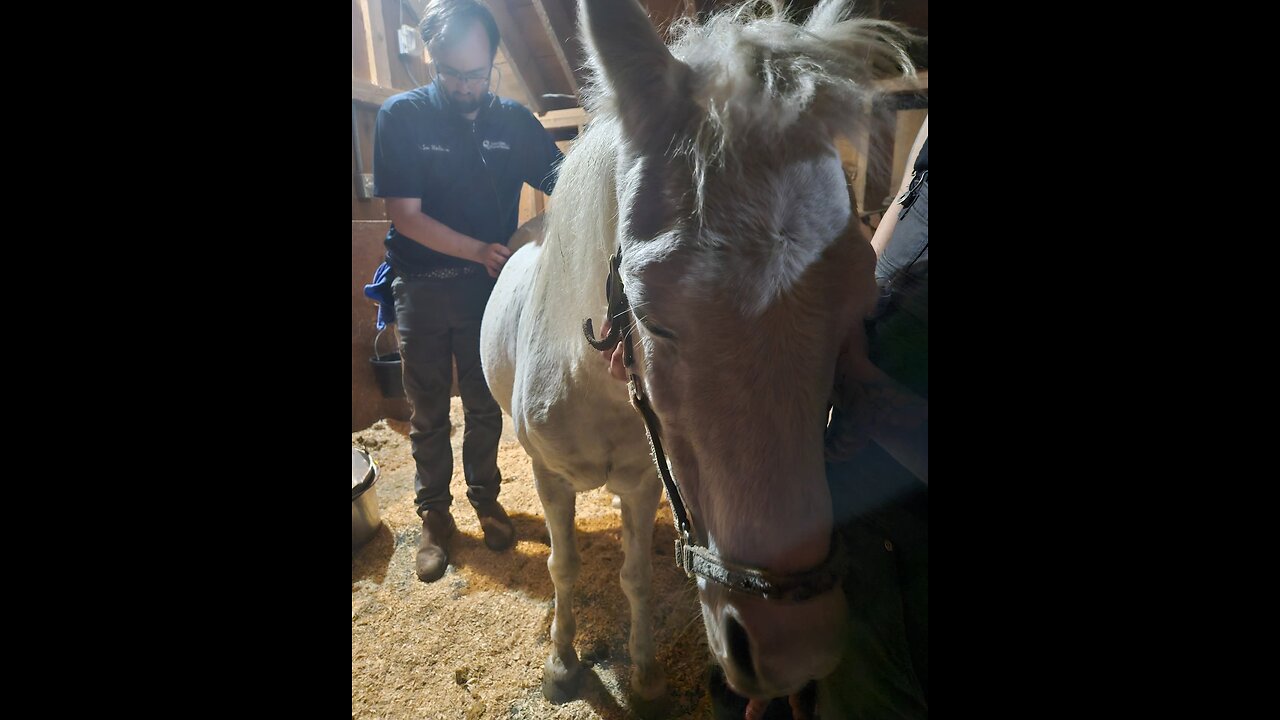 Prayers for Sweetie Pony