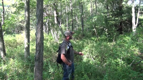 Private Land Hunting Tips