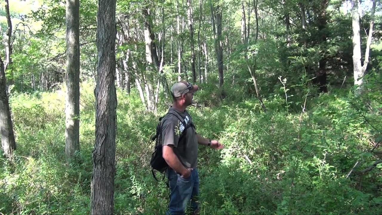Private Land Hunting Tips