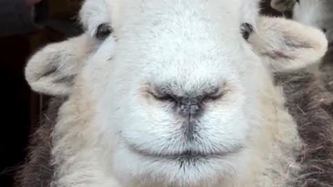 If you need a smile.. 😊