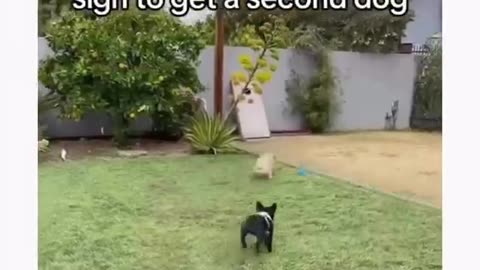 Friend zone is not a rejection