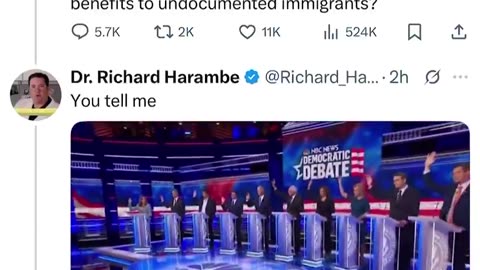 Do Democrats support healthcare for illegals_ You tell me