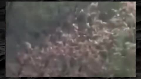 😱👻 You Won't Believe What They Caught on Camera! Creepy Paranormal Videos | TheHauntingHour