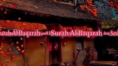 Beshak 💯♥️✨🕊️