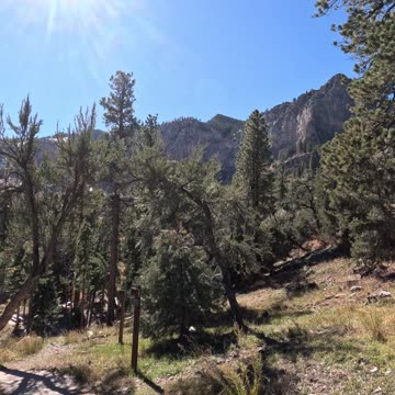 Mountain Trail Nature Vibes #sunshine #nostalgia #mountains Mt. Charleston Las Vegas NV