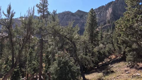 Mountain Trail Nature Vibes #sunshine #nostalgia #mountains Mt. Charleston Las Vegas NV