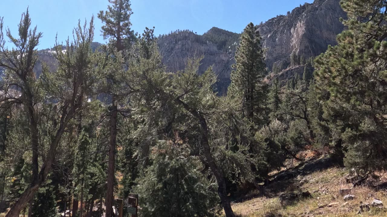 Mountain Trail Nature Vibes #sunshine #nostalgia #mountains Mt. Charleston Las Vegas NV