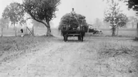 [HAY WAGON] - [HAY WAGON] - fc-fc-2398