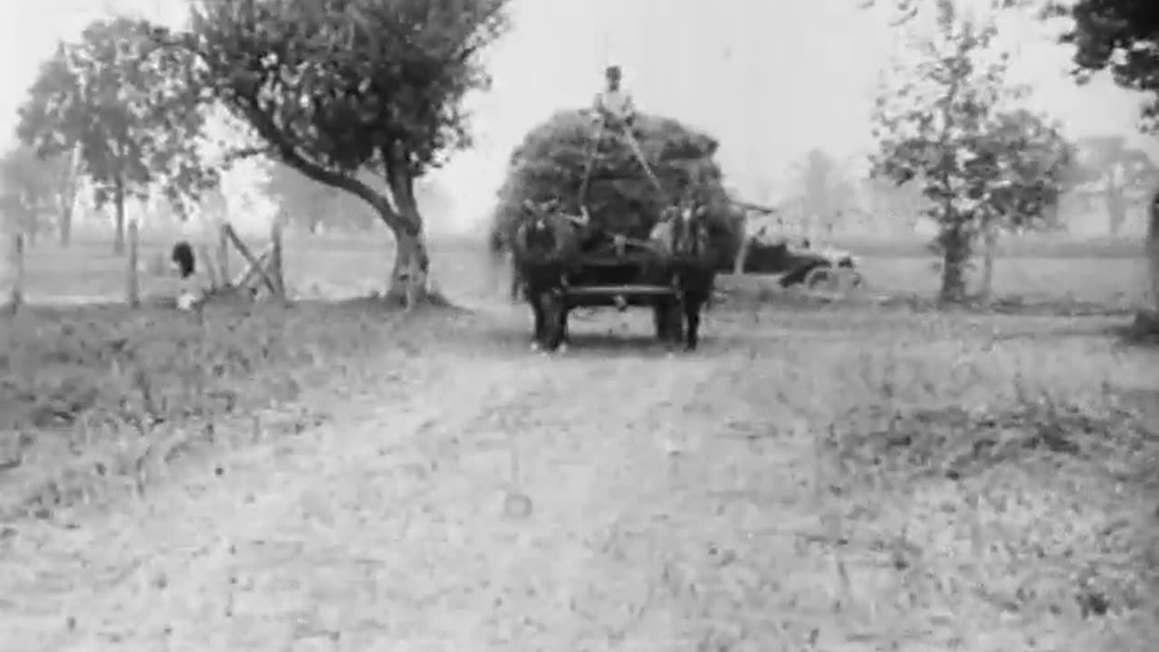 [HAY WAGON] - [HAY WAGON] - fc-fc-2398