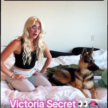 German Shepherd Auditions For Victoria Secret