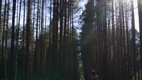 Daily Horoscope | Taurus 🌟