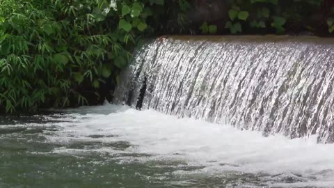 Overflowing Hope: A Dive into Romans 15 : 13