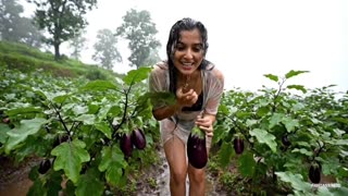 धान के खेतों में बारिश की कहानी 🌧️ _ Rainy Day in Village Fields _ Baingan _ Daily Life Vlog