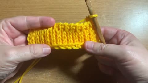 Tunisian Knit Stitch