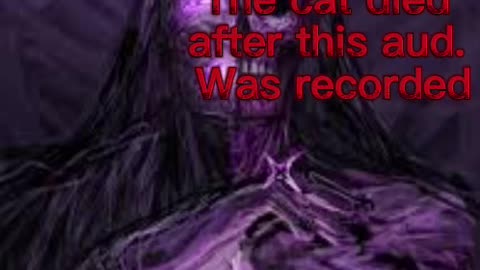 😱🐱 The Most Unsettling Cat Sounds I've Ever Heard! | TheHauntingHour
