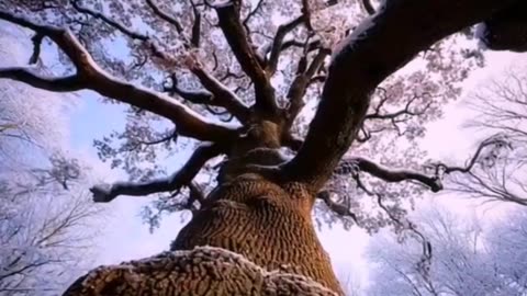 #रहने दो भाई|Cast & Veriation |Life #shorts