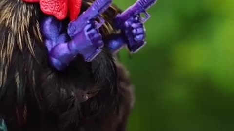 Funny Animals meme 🤪🐶🐕