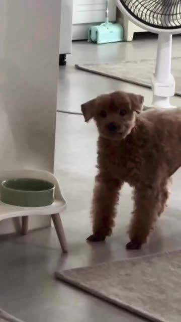 I demand my bowl be filled now!!!!