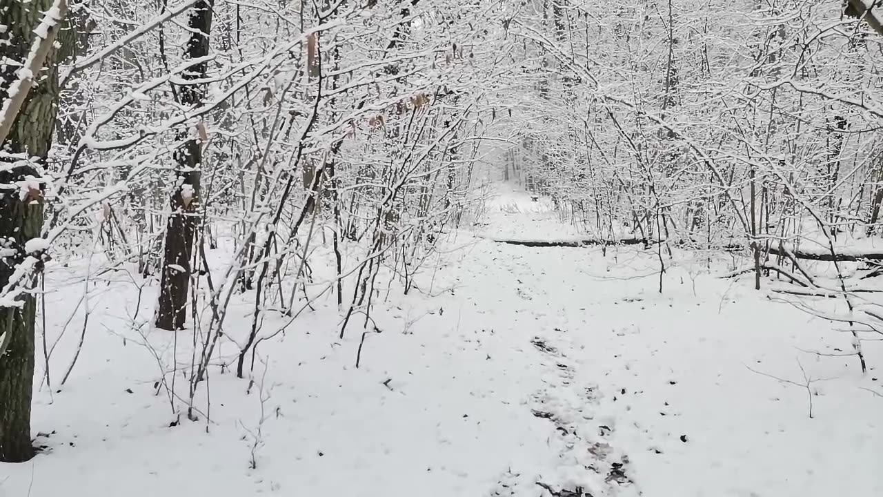 nie lubię , ale ...