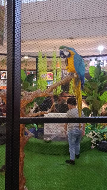 Liburannya kita ke Jungle Zoo di Grage Mall