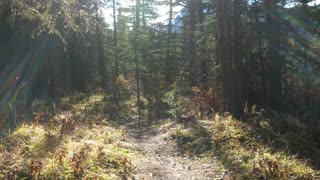 𝐍𝐨 o𝐧𝐞 w𝐚𝐫𝐧𝐞𝐝 m𝐞 a𝐛𝐨𝐮𝐭 t𝐡𝐢𝐬!… 𝐇𝐨𝐰 𝐦𝐲 h𝐞𝐚𝐫𝐭 w𝐚𝐬 s𝐭𝐨𝐥𝐞𝐧 𝐢𝐧 A𝐥𝐛𝐞𝐫𝐭𝐚 🍁