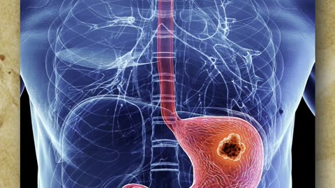 Worse Than Meat? Why Pork Is Haram | Science & Faith || MaarfaVerse #shorts