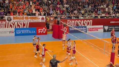Opossum Interrupts Brazilian Volleyball Championship