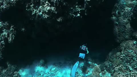 "Shipwreck Diving Adventure ⚓ | Exploring a Sunken World"