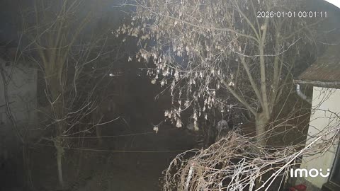 Szándékosan az ingatlanunk felé, vagy közelébe lövik a tűzijátékaikat keresztes ákos kedvéért!!