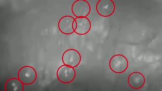 Ukraine war combat footage /related 11/13/2025