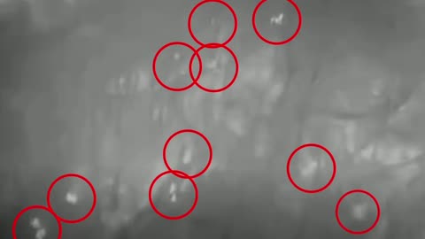 Ukraine war combat footage /related 11/13/2025