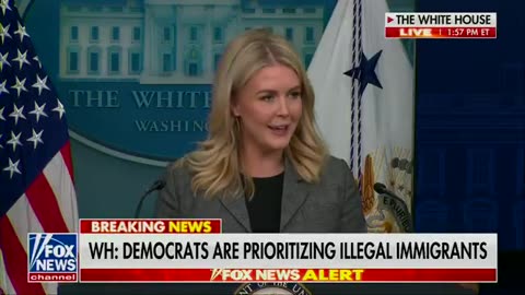 Karoline Leavitt CONFIRMS Dems are about to FAFO after gov't shutdown 