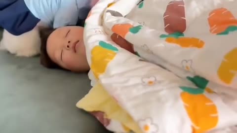 What Animals Can Teach Us About Life 🐺🐘🐝 | Discover the Hidden Wisdom of Nature!