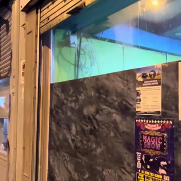 Depressing. Parts of Dublin have already been lost to immigration.