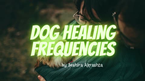 Dog Healing Frequencies